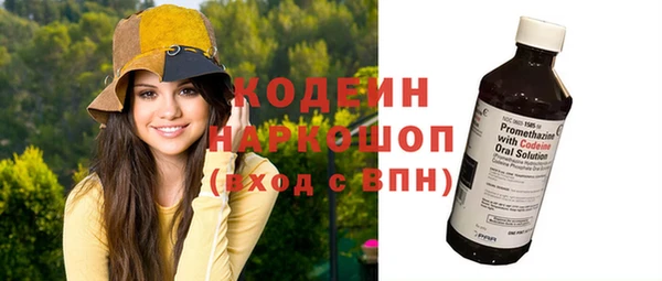 прущие грибы Переславль-Залесский