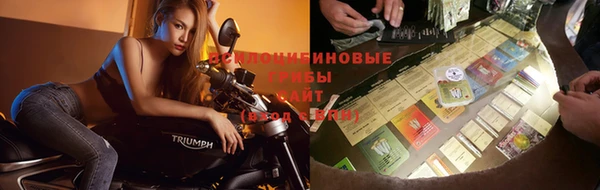 альфа пвп Армянск