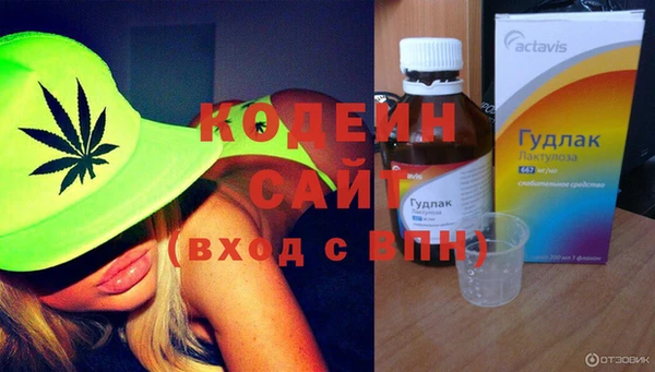прущие грибы Переславль-Залесский